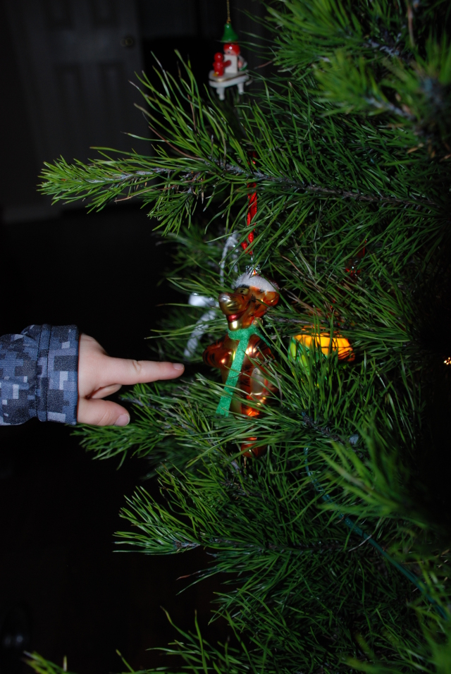 2008-12-25 08-56-51141.JPG